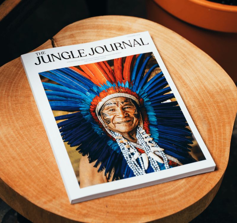 The Jungle Journal #1 - Image 4
