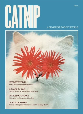 Catnip #2