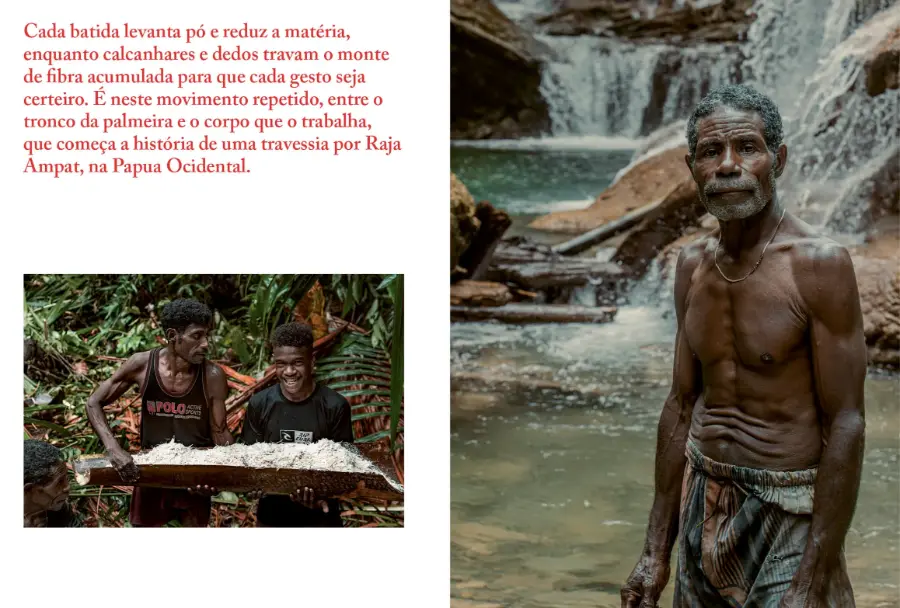 Primitiva #2 - Image 7