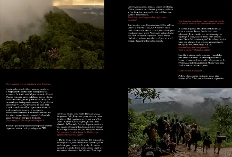 Primitiva #2 - Image 6
